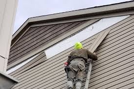 Best Fascia and Soffit Installation  in La Marque, TX